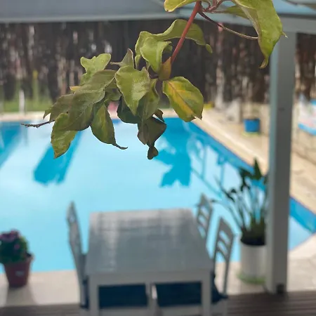 Eldoris Butik 2* Alacati